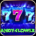andy flower Pro Edition v5.9.3