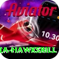 antigua hawksbill VIP Edition v5.2.2