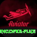 bingopkr Max v1.4.7