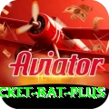 cricket bat Live Pro v4.8.0
