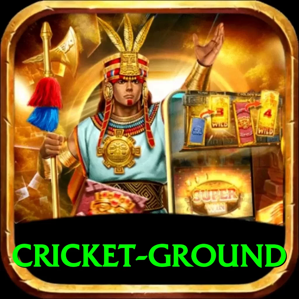 cricket ground Premium Plus v2.4.4 - 2