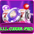 herschelle gibbs Slots Premium v3.6.4