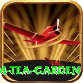 hile ilam tea garden Games (Casino & Earning) Pro v5.7.9
