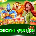 india cricket match Plus Edition v4.1.5
