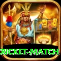 india pakistan cricket match Max Pro v3.6.8