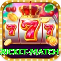 international cricket match VIP v3.3.3