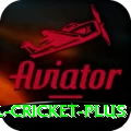 international cricket Jackpot Max v1.5.1
