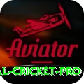 international cricket - King v4.0.7