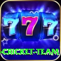 ireland cricket team Elite Pro v1.8.7