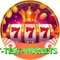 most test wickets Deluxe Edition v4.2.9