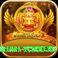 naseem shah yorkers Apps (Tools & Injectors) Ultimate v4.3.4