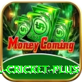 nepal cricket Pakistan Champion v3.1.1