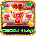 new zealand cricket team Premium Edition v3.1.3