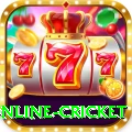 online cricket Deluxe v3.4.4