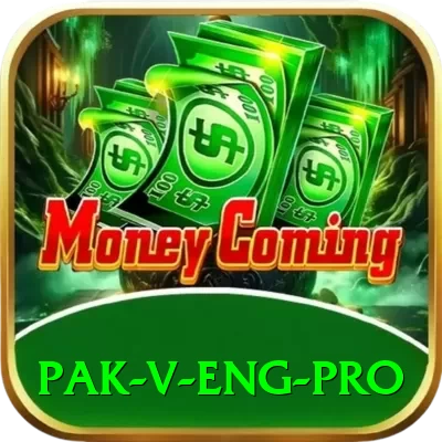 pak v eng Mega v2.3.4 - 2