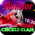 pakistan women cricket team Premium Edition v5.8.8