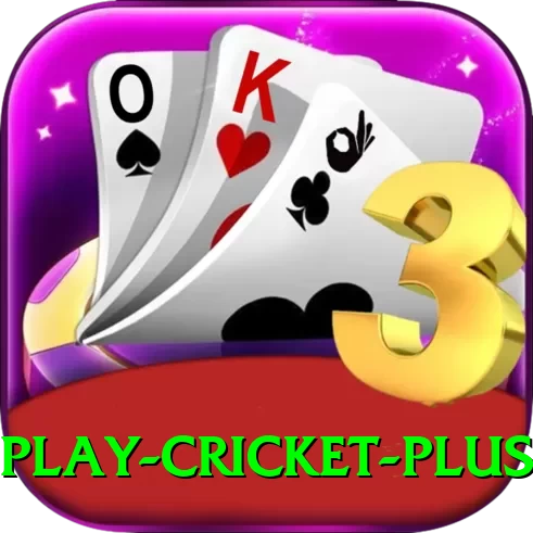 play cricket King PK v5.5.3 - 2
