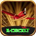 r cricket VIP v5.2.4