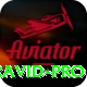 rahul dravid - Champion v3.3.8