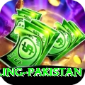 responsible gambling pakistan Games (Casino & Earning) Ultimate v4.3.6
