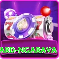 richard ngarava VIP v3.7.3