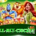 risk free bet cricket Games (Casino & Earning) Turbo v2.5.6