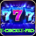 test cricket - Live Deluxe
