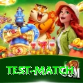 test match Apps (Tools & Injectors) Premium v1.2.2
