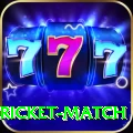 to day cricket match Premium v1.0.5
