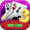 wc t20 Max v3.1.7