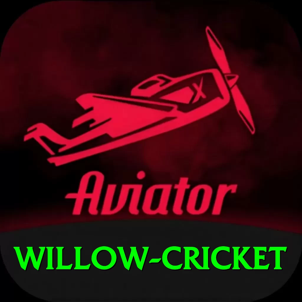 willow cricket Pro Max v2.5.0 - 2