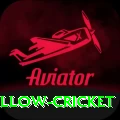 willow cricket Pro Max v2.5.0